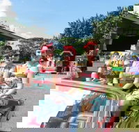 Burdekin Auto Festival - Accommodation Gladstone