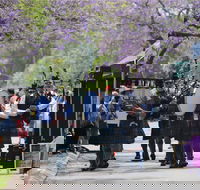Celtic Festival of Queensland - Accommodation Gladstone