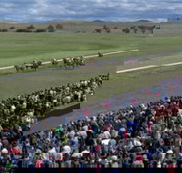 Cooma Sundowners Cup - Accommodation Gladstone