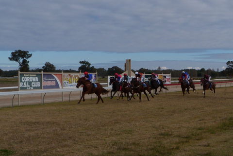 Corowa Horseraces - Accommodation Gladstone 0