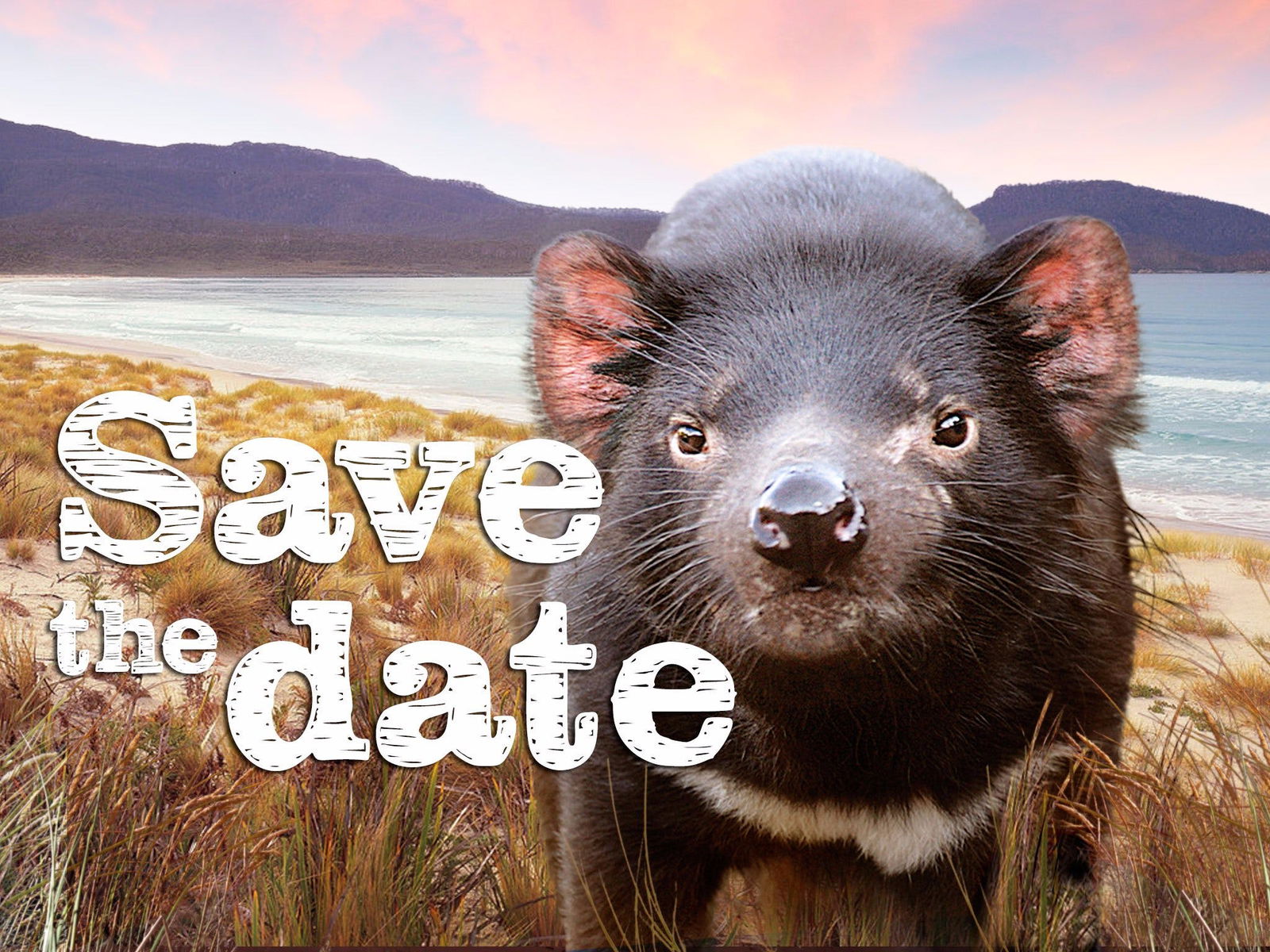 Randalls Bay TAS Accommodation Gladstone