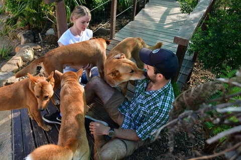 Dingo Den Discovery Experience - Accommodation Gladstone 1