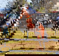 Glen Innes Pastoral and Agricultural Show - Accommodation Gladstone