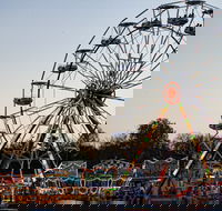 Grafton Show - Accommodation Gladstone