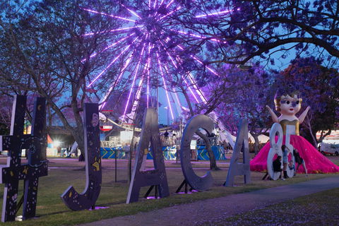 Grafton Jacaranda Festival - Accommodation Gladstone 0
