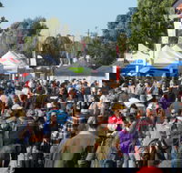 Hunter Valley Caravan Camping 4WD Fish and Boat Show - Accommodation Gladstone