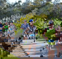 Husky Half Running Festival - Accommodation Gladstone