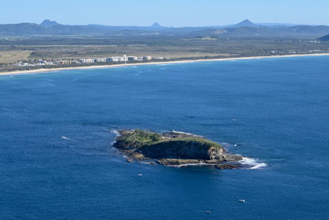 Island Charity Swim - Accommodation Gladstone 0
