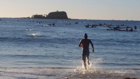 Island Charity Swim - Accommodation Gladstone 1