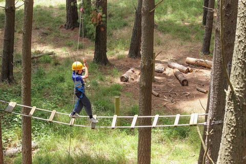 July 2020 Holidays- Go Wild At The Mt Lofty Adventure Hub - Accommodation Gladstone 0