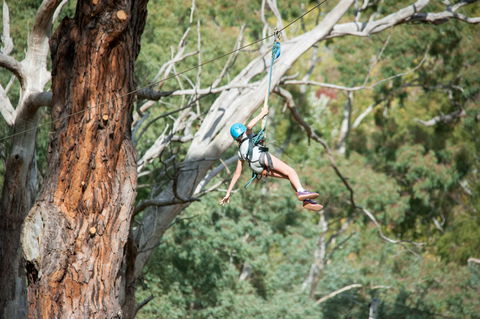 July 2020 Holidays- Go Wild At The Mt Lofty Adventure Hub - Accommodation Gladstone 1