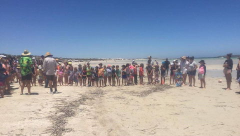 Perlubie Beach Sports Day - Accommodation Gladstone 1