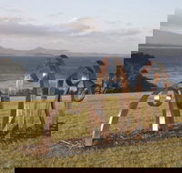 Sculpture Bermagui - Accommodation Gladstone