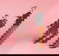 The Comedy of Errors - Accommodation Gladstone