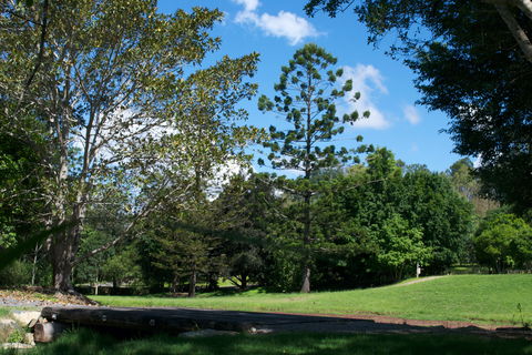 The Planting Festival 2021 - Accommodation Gladstone 0