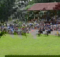 Tumut Boxing Day Races - Accommodation Gladstone