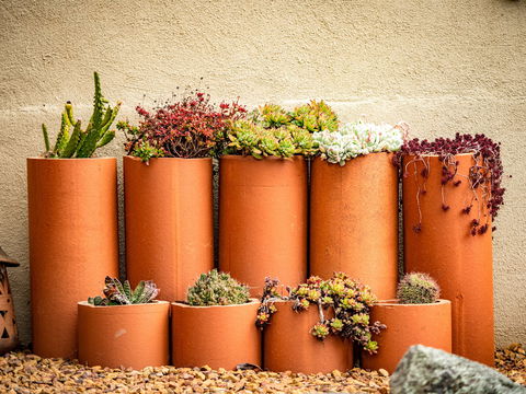 Tumbarumba Spring Flower Festival - Accommodation Gladstone 0