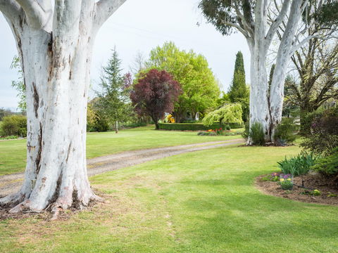Tumbarumba Spring Flower Festival - Accommodation Gladstone 2