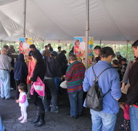 Wildflower Art and Garden Festival - Accommodation Gladstone
