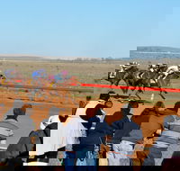 2020 Quorn Cup - Accommodation Gladstone