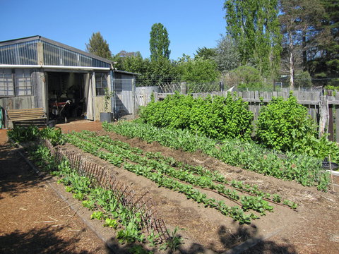 All Season Cold Climate Organic Vegetable Growing - Accommodation Gladstone 1
