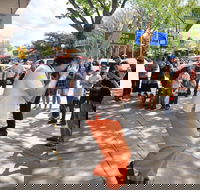 Australian National Busking Championships - Accommodation Gladstone