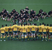 Bledisloe Cup Double-Header Qantas Wallabies v All Blacks  Buildcorp Wallaroos v Black Ferns - Accommodation Gladstone