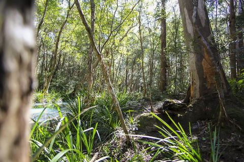 Bottlebutt Bash Trail Run - Accommodation Gladstone 0