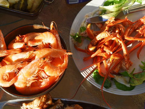 Cape Jaffa Food And Wine Festival - Accommodation Gladstone 0