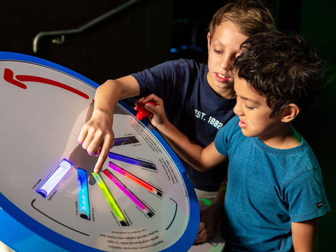 Colour: See The World In A New Light - Accommodation Gladstone 2