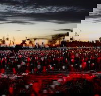 Field of Light Uluru - Accommodation Gladstone