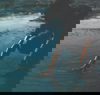 Flow - Accommodation Gladstone