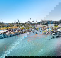 Fred Williams Aquatic Festival - Accommodation Gladstone
