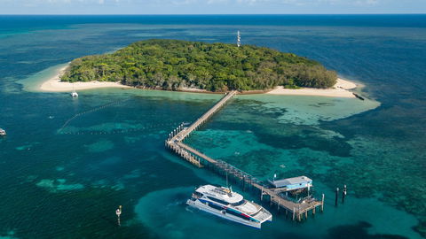 Great Adventures Green Island Ocean Swim - Accommodation Gladstone 0