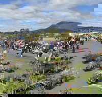 Hobart Showground Sunday Market - Weekly - Accommodation Gladstone