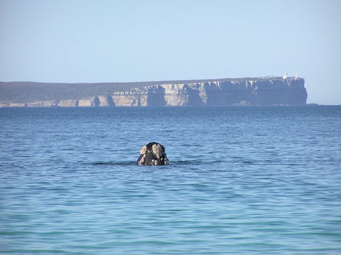 Jervis Bay's Sydney To Hobart Experience - Accommodation Gladstone 0