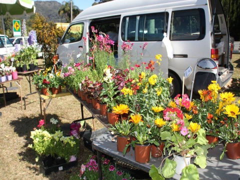 Johns River Country Markets - Accommodation Gladstone 0