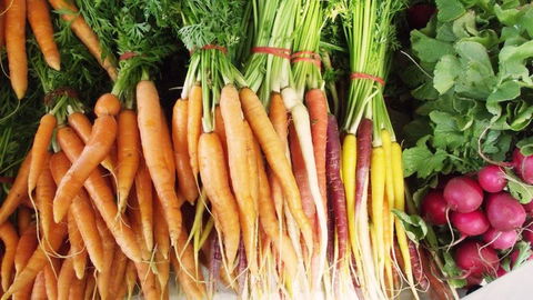 Joondalup Growers Market - Accommodation Gladstone 0