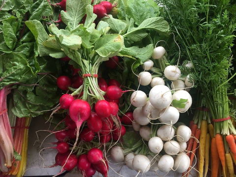 Joondalup Growers Market - Accommodation Gladstone 1