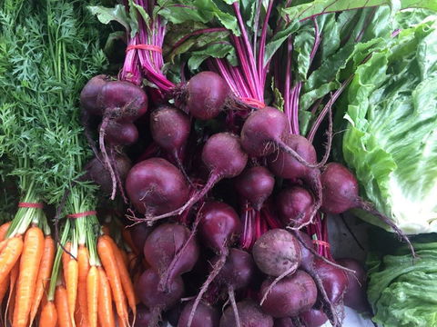 Joondalup Growers Market - Accommodation Gladstone 2