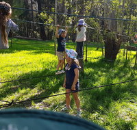 July 2020 Holidays- Forest Smores  Explore
