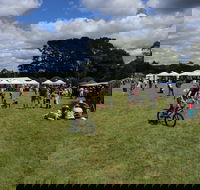 Majors Creek Festival - Accommodation Gladstone