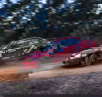 Narooma Forest Rally - Accommodation Gladstone