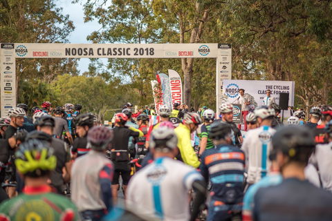 Noosa Classic - Accommodation Gladstone 1