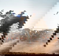 Rodeo by the Sea - Streaky Bay - Accommodation Gladstone