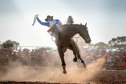 Rodeo By The Sea - Streaky Bay - Accommodation Gladstone 0