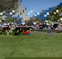 Sakura Matsuri  - Cherry Blossom Festival - in doubt due to Covid-19 - Accommodation Gladstone