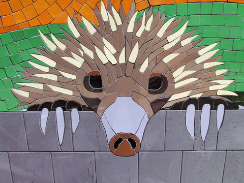 SALA 2020 - Colour Our World - Accommodation Gladstone 0