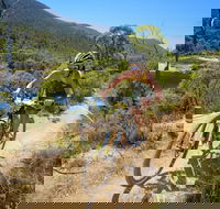 TreX Cross Triathlon Series  Snowy Mountains - Accommodation Gladstone