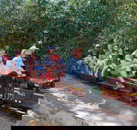 Twilight Run   Willans Hill Miniature Railway - Accommodation Gladstone